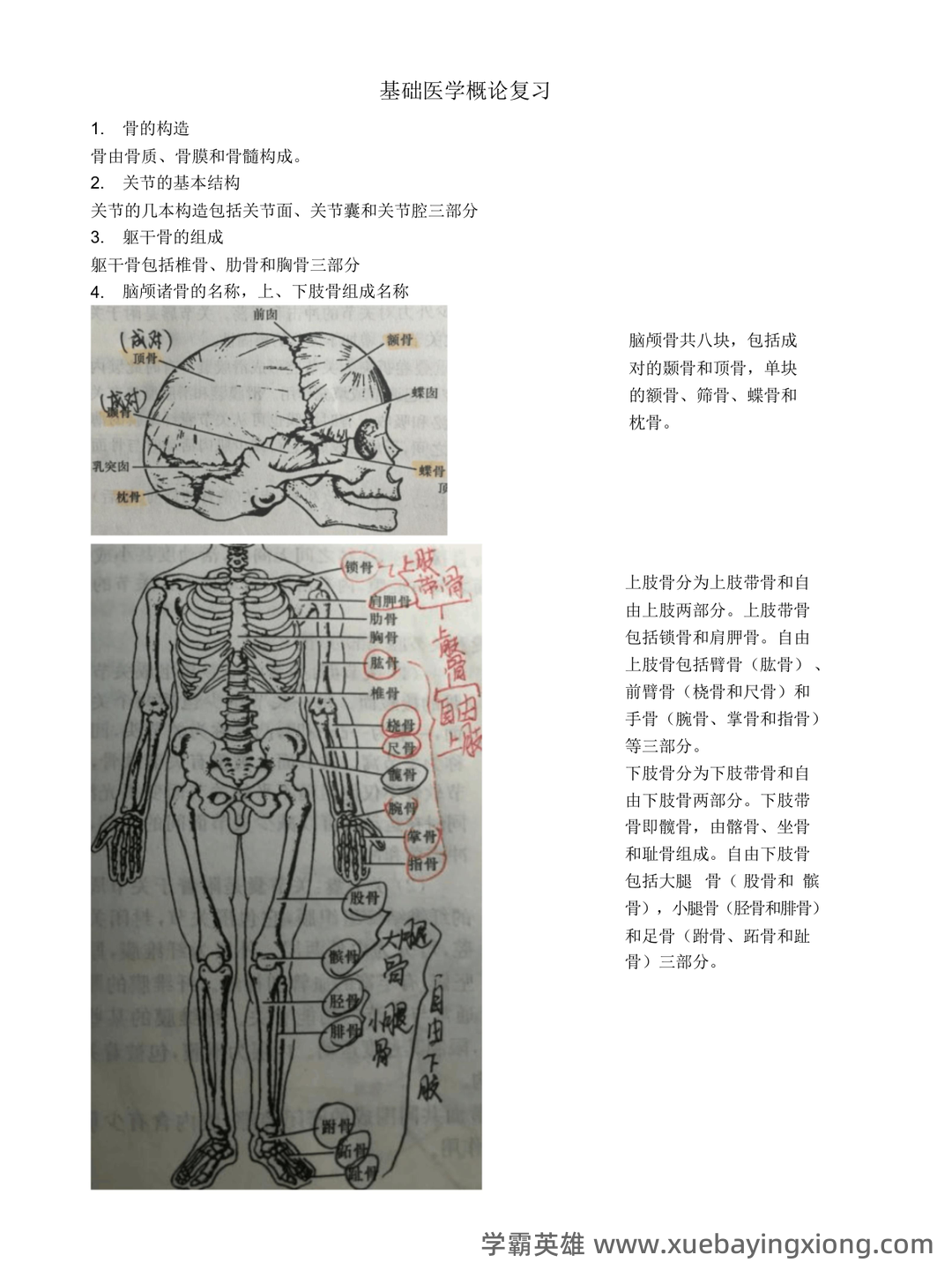基础医学概论《全科医学概论》名词解释 - 01_《基础医学概论》复习资料_《基础医学概论》复习_第1页_学霸英雄_www.xuebayingxiong.com