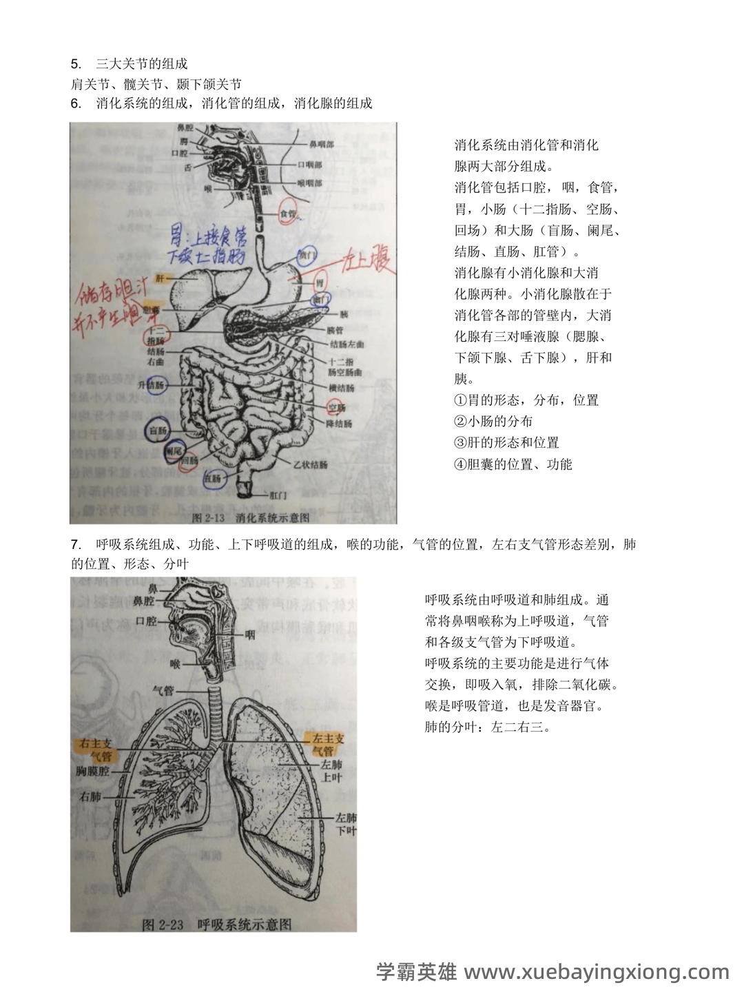 基础医学概论《全科医学概论》名词解释 - 01_《基础医学概论》复习资料_《基础医学概论》复习_第2页_学霸英雄_www.xuebayingxiong.com