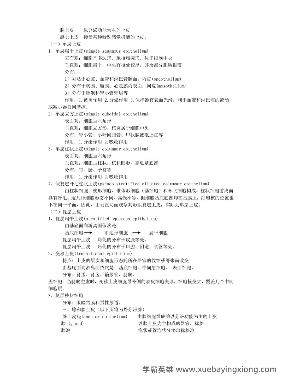 组织学与胚胎学期末试题_夸克文档 - 03_《组织学与胚胎学》复习资料_《组织学与胚胎学》笔记_第2页_学霸英雄_www.xuebayingxiong.com