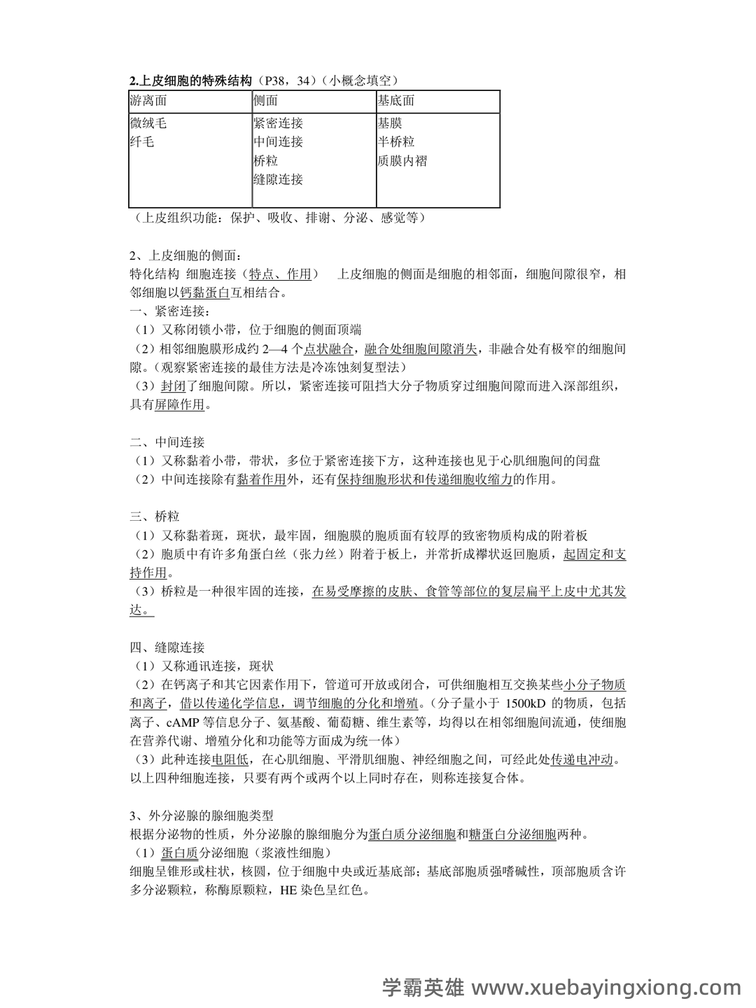 组织学与胚胎学期末试题_夸克文档 - 05_《组织学与胚胎学》复习资料_《组织学与胚胎学》重点归纳_第1页_学霸英雄_www.xuebayingxiong.com
